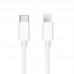 Apple iPhone Type-C to Lightning Cable (3.3')
